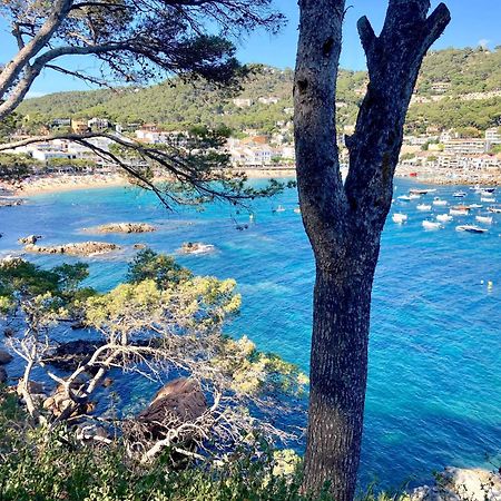 Apartment 1Llad01 - Llafranc Calella De Palafrugell Zewnętrze zdjęcie