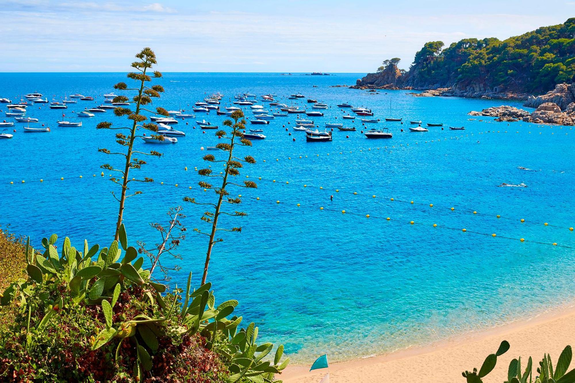 Apartment 1Llad01 - Llafranc Calella De Palafrugell Zewnętrze zdjęcie