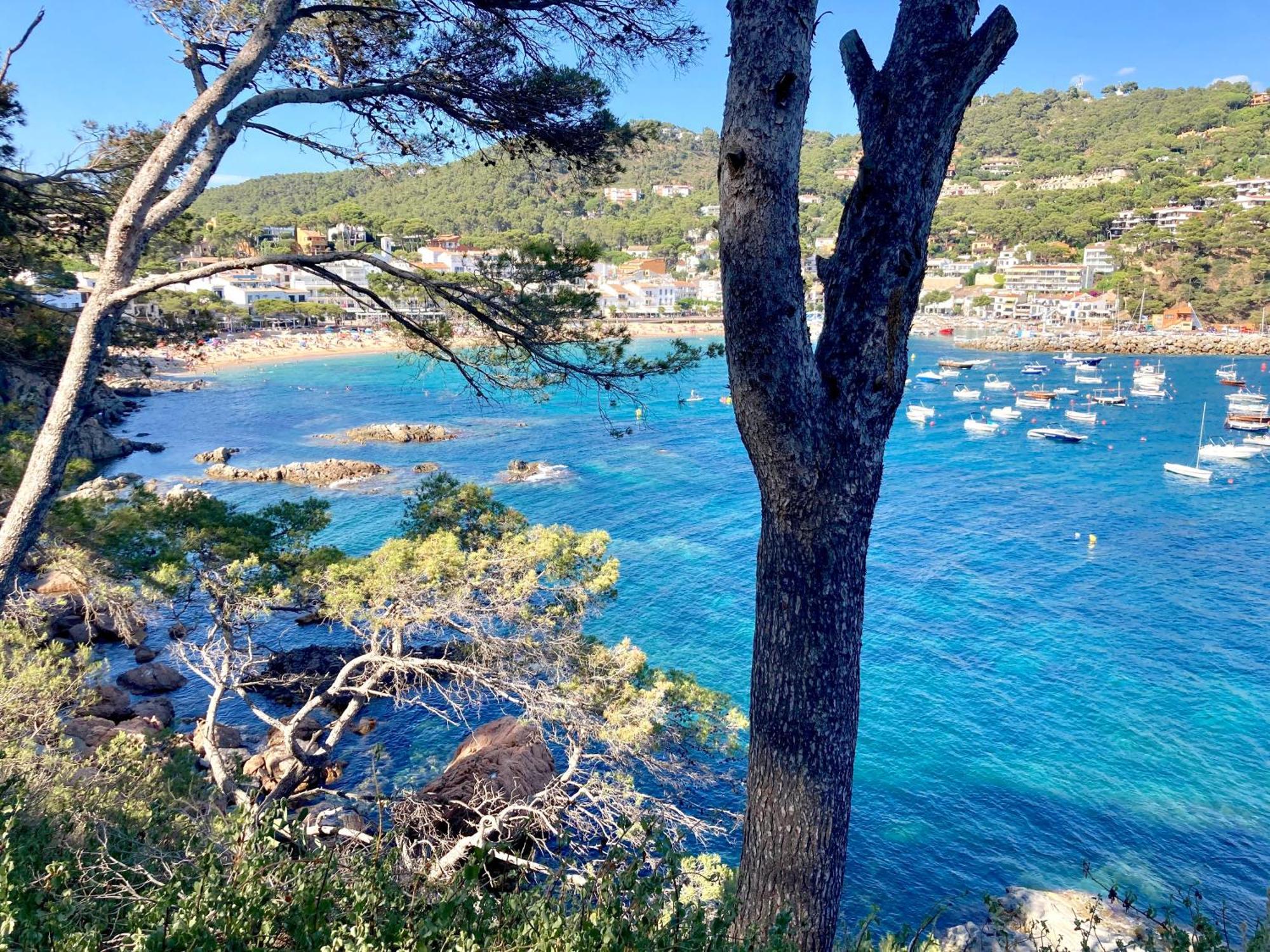 Apartment 1Llad01 - Llafranc Calella De Palafrugell Zewnętrze zdjęcie